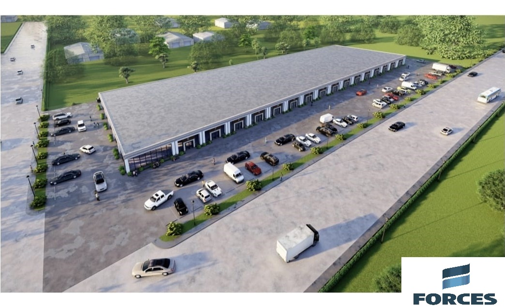 birlik pelit sasmaz 8