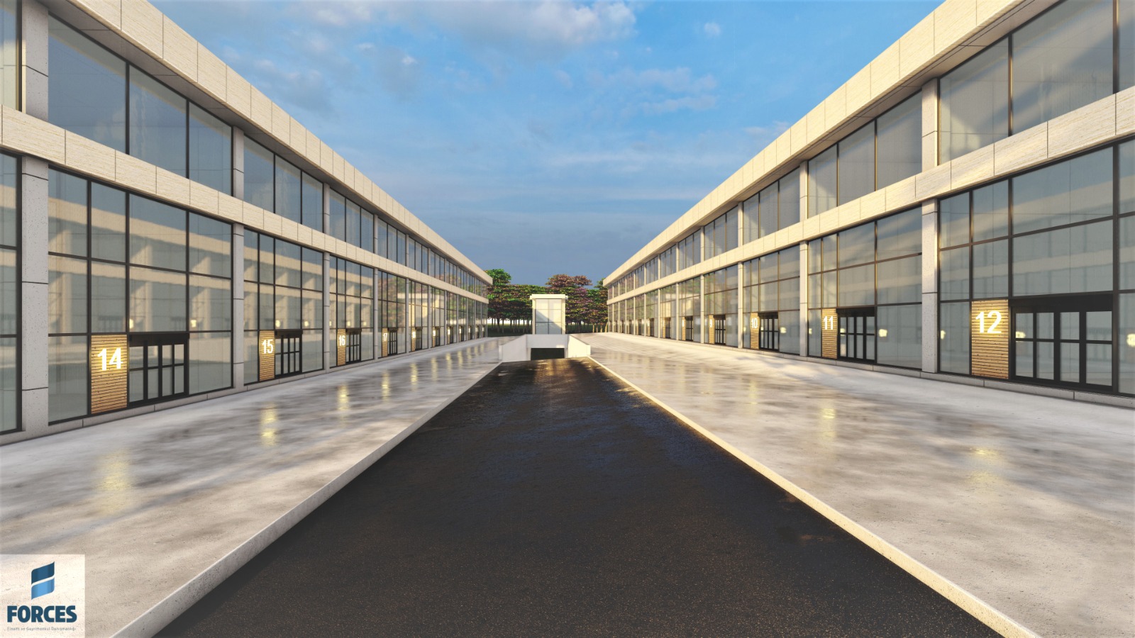 pelit safak sasmaz 5